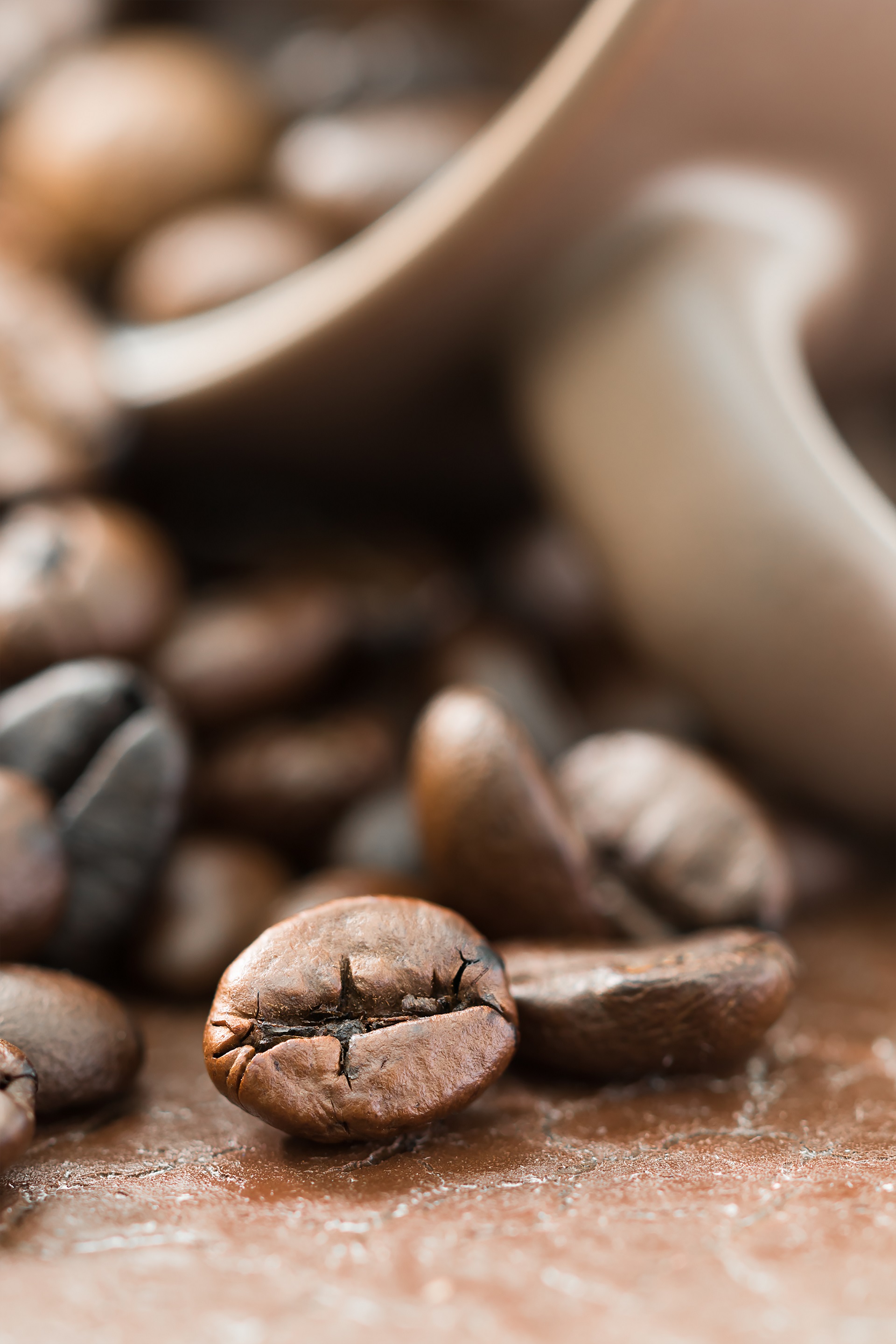 Κόκκοι Robusta
