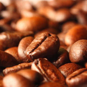 Arabica και Robusta: ποιες είναι οι διαφορές;